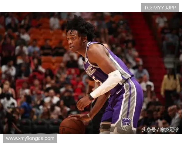 2015-2016赛季火箭队季后赛表现分析